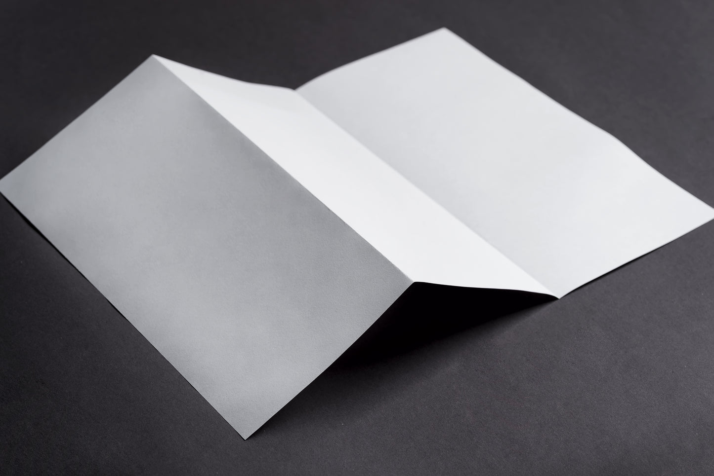 Brochures & Flyers